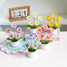 Desktop potted plant for sale  Shipping to United Kingdom