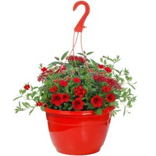 Outdoor red shades for sale  UK