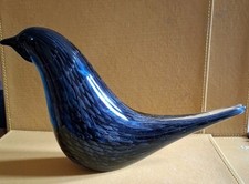 raven bird for sale raven bird for sale HUNSTANTON