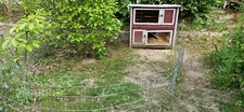 Hasenstall gebraucht freigeheg gebraucht kaufen  Regensburg