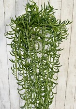 String fish hooks for sale  Middletown