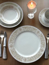 Diamond china company for sale  Capron