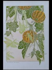 Maurice pillard verneuil d'occasion Maurice pillard verneuil d'occasion  Rennes-