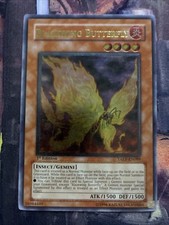 Blazewing butterfly taev for sale  Hamden
