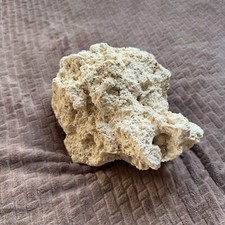 Rare fantastic marine for sale  WELLS-NEXT-THE-SEA