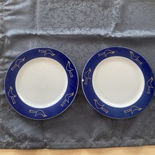 Arzberg flying bjects gebraucht kaufen  Ruppertsberg
