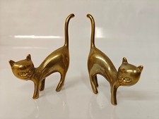 Pair small siamese for sale  ST. AUSTELL