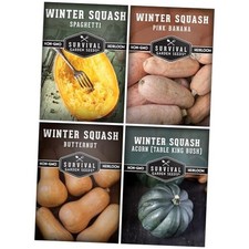 Winter squash seed for sale  Miami
