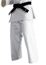 Pantalone mizuno judo usato  Spedire a Italy