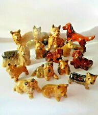 Wade dogs puppies for sale  FELTHAM