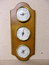 Wetterstation tcm holz gebraucht kaufen  Heilbronn