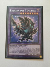 Carte paladin tenebres d'occasion  Dieppe