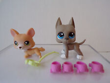 Littlest pet shop for sale  Fort Worth