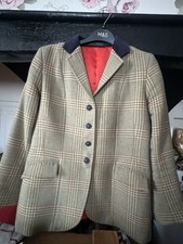 Beau cheval for sale  ATHERSTONE