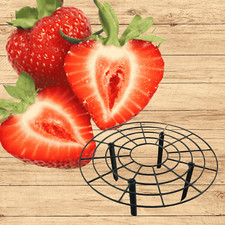 June bearing strawberry d'occasion  Expédié en Belgium
