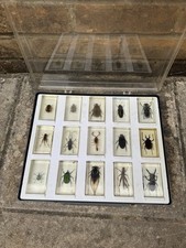 Vintage boxed bugs for sale  CIRENCESTER