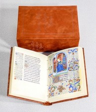Libro ore vergine usato  Torino