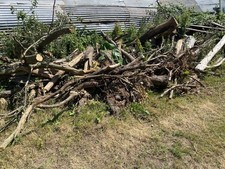 Logs for sale  BARNSLEY