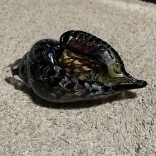 Tortoise shell conch for sale  Bountiful