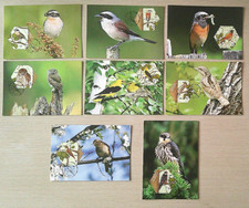 2011 cartes 1er d'occasion  Prunelli-di-Fiumorbo