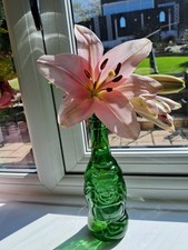 Lucky buddha beer for sale  OLDHAM