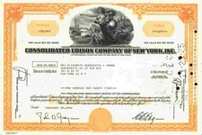 Consolidated edison company gebraucht kaufen  Bayreuth