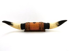 Genuine steer horns for sale  Mansfield