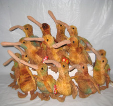 Rare beak bird for sale  Lebanon