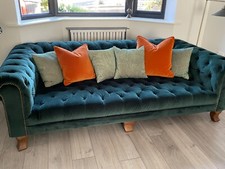 Pine green alexander for sale Pine green alexander for sale  MILTON KEYNES