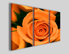 Quadri rosa orange usato  Pontecagnano Faiano