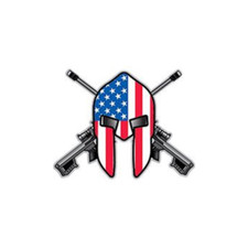 Punisher 2nd amendment for sale  Hayward
