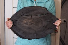 Laje de carvalho Bog WOODWORKING tampa de madeira preta de bétula PRANCHA relógio de detalhe epóxi rústico comprar usado  Enviando para Brazil