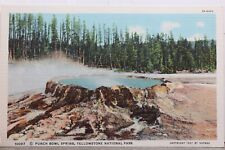 Yellowstone national park for sale  Wilmington