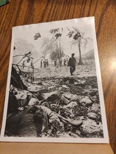 Vintage press photo for sale  Seaford