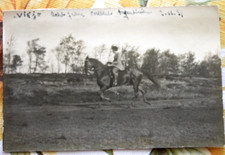 Foto 1931 pferd gebraucht kaufen  Neugersdorf