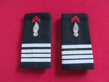 Paire pattes epaules d'occasion  Carentan