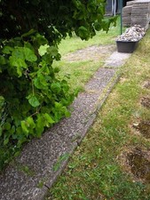 Gehweg waschbetonplatten gebraucht kaufen  Kellinghusen