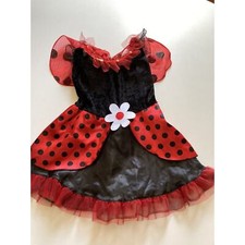 Lil lady bug for sale  San Jose
