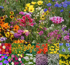 Cottage garden pure for sale  BORDON