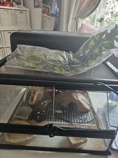 Exo terra glass for sale  ROMFORD