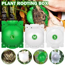 Plant root growing for sale  USA