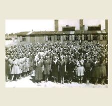 German concentration camp for sale  Granite City