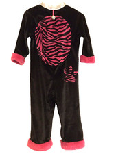 Black pink cat for sale  MAIDENHEAD