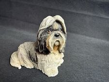 2002 shih tzu for sale  BIRKENHEAD