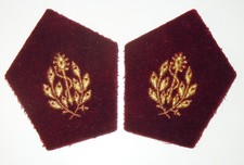 Paire pattes col d'occasion  Senozan