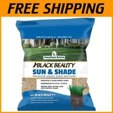 Black beauty grass for sale  Egg Harbor Township