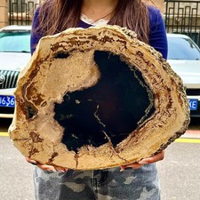 39lb natura bellissimo usato 39lb natura bellissimo usato  Spedire a Italy