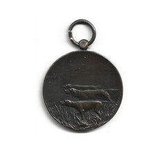 Roma mostra canina usato  Viterbo