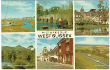 Salmon multiview postcard for sale  YEOVIL