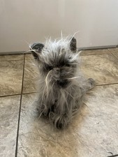 Greyfriars bobby plush for sale  ASHTON-UNDER-LYNE